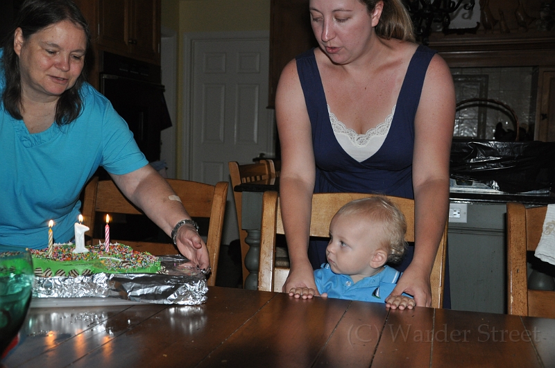 William's 2nd 1st Birthday Party 291.jpg